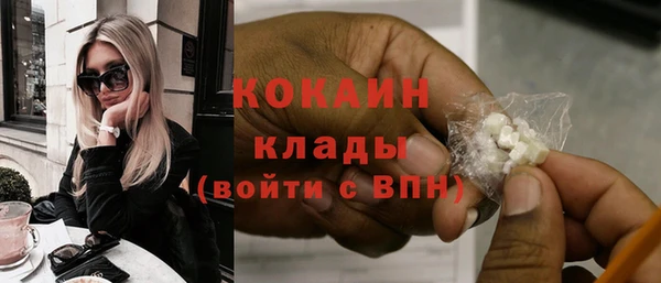 индика Алексеевка
