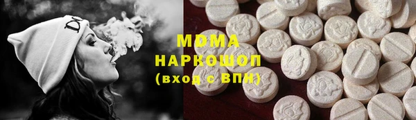 гашик Алексин