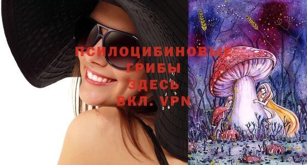 индика Алексеевка