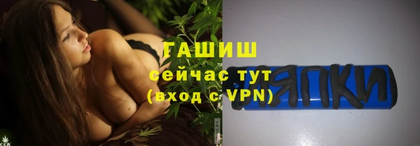 гашик Алексин