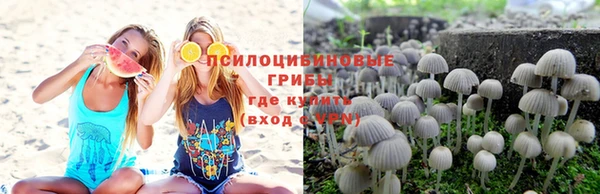 СК Абдулино